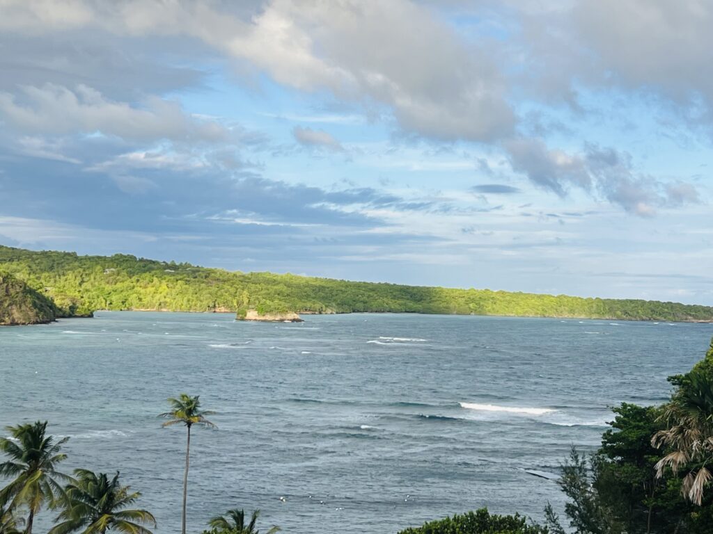 Top 5 things to do in Grenada